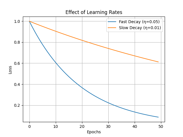 Learning Rate Effects